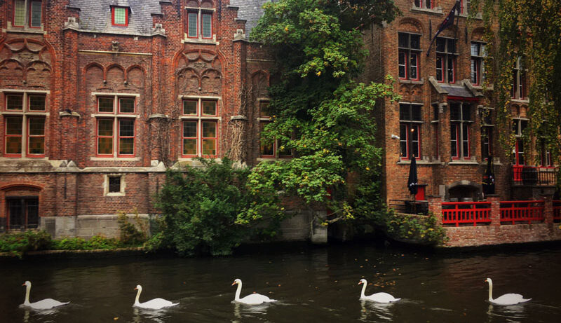 fsmlrph_brujas_jnunno