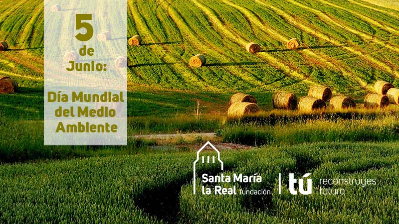 fsmlrph_diamundialmedioambiente2019