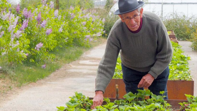 fsmlr_terceraactividad_agefriendly