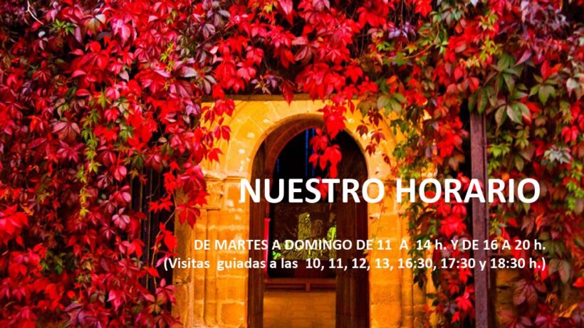 Nuestro horario