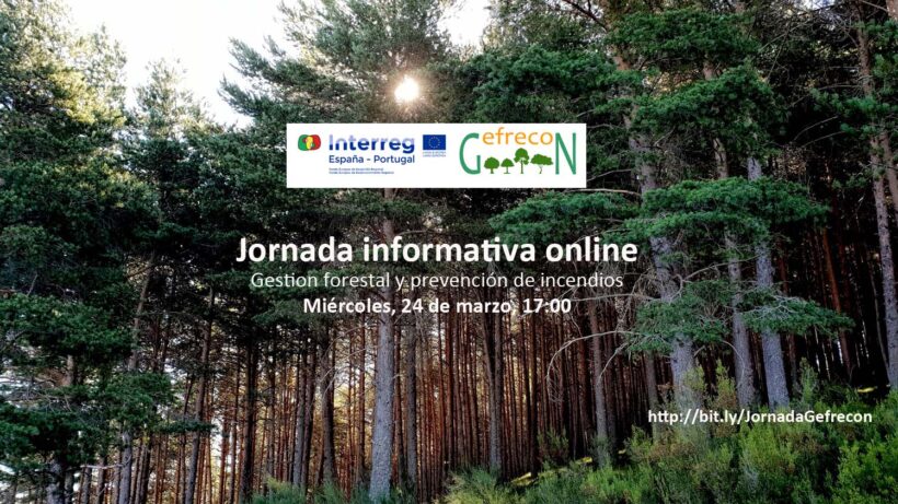 fsmlr_gefreconweb