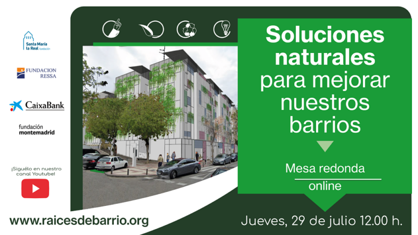 fsmlr_raicesdebarrio-webinar