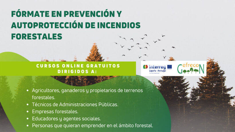 fsmlr-cursosonline-gefrecon-web