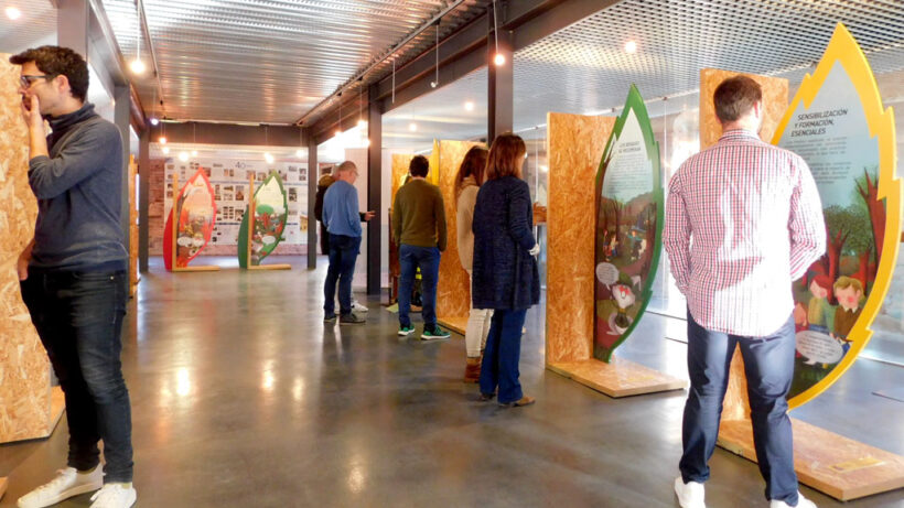fundacion-expo-brifweb