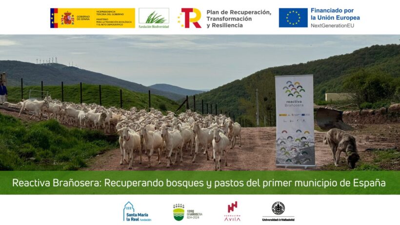 fundacion-paisaje-reactivabranosera
