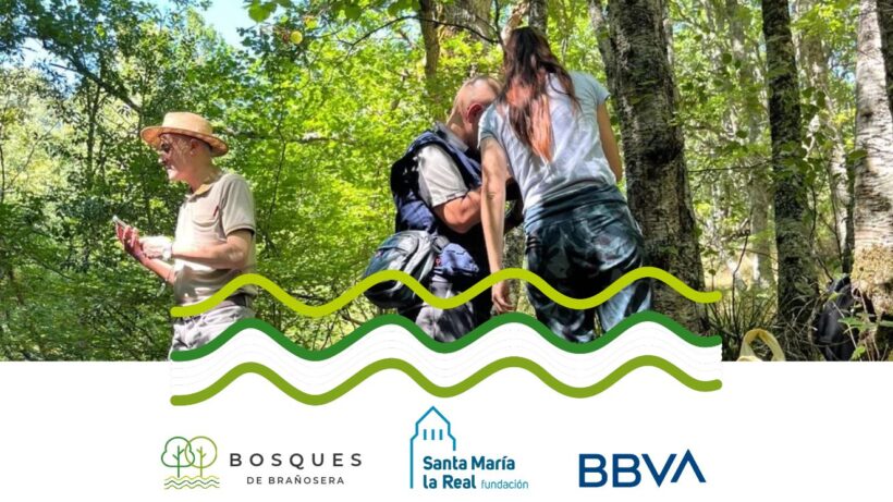 Bosques de Brañosera